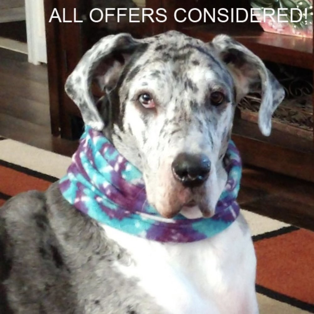 All Offers Considered!